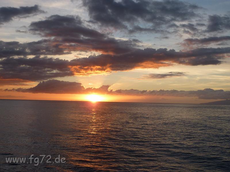 Teneriffa_11-2012_Bild_193.jpg