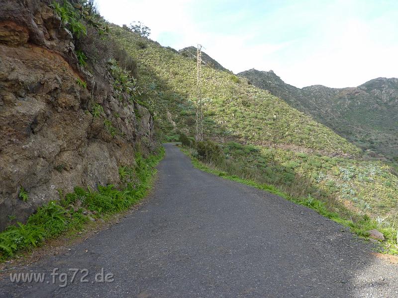 Teneriffa_11-2012_Bild_215.jpg