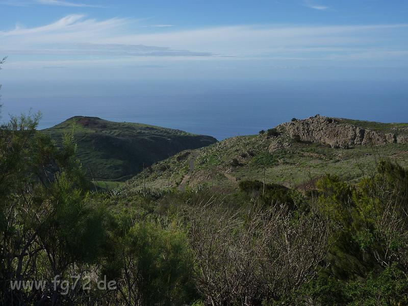Teneriffa_11-2012_Bild_218.jpg