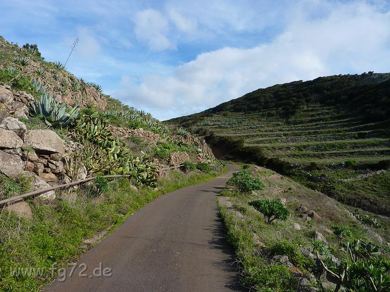 Teneriffa_11-2012_Bild_220.jpg