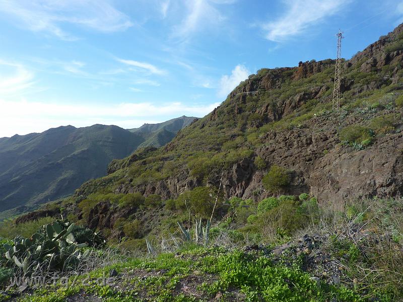 Teneriffa_11-2012_Bild_223.jpg