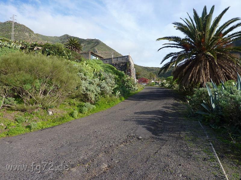 Teneriffa_11-2012_Bild_224.jpg
