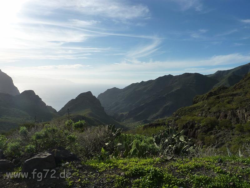 Teneriffa_11-2012_Bild_225.jpg