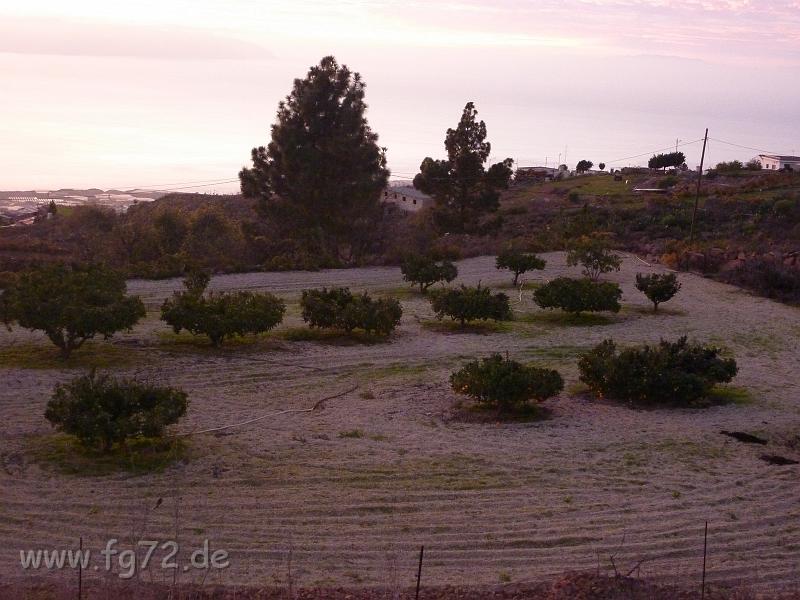 Teneriffa_11-2012_Bild_230.jpg