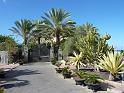 Teneriffa_11-2012_Bild_009