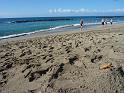 Teneriffa_11-2012_Bild_014