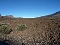 Teneriffa_11-2012_Bild_029