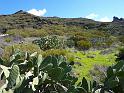 Teneriffa_11-2012_Bild_051