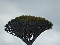 Teneriffa_11-2012_Bild_074