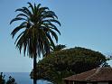 Teneriffa_11-2012_Bild_076