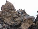 Teneriffa_11-2012_Bild_123