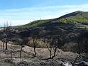 Teneriffa_11-2012_Bild_196