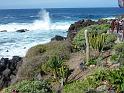 Teneriffa_11-2012_Bild_204