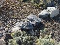 Teneriffa_11-2012_Bild_207