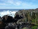 Teneriffa_11-2012_Bild_212