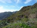 Teneriffa_11-2012_Bild_223