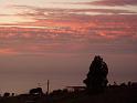 Teneriffa_11-2012_Bild_229
