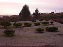 Teneriffa_11-2012_Bild_230