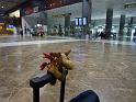 Teneriffa_11-2012_Bild_232